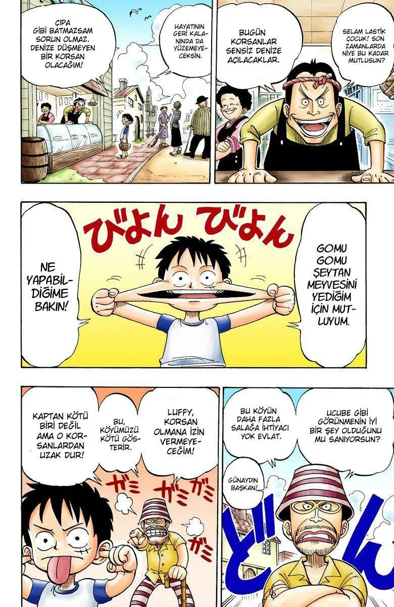 One Piece [Renkli] - Sayfa 22