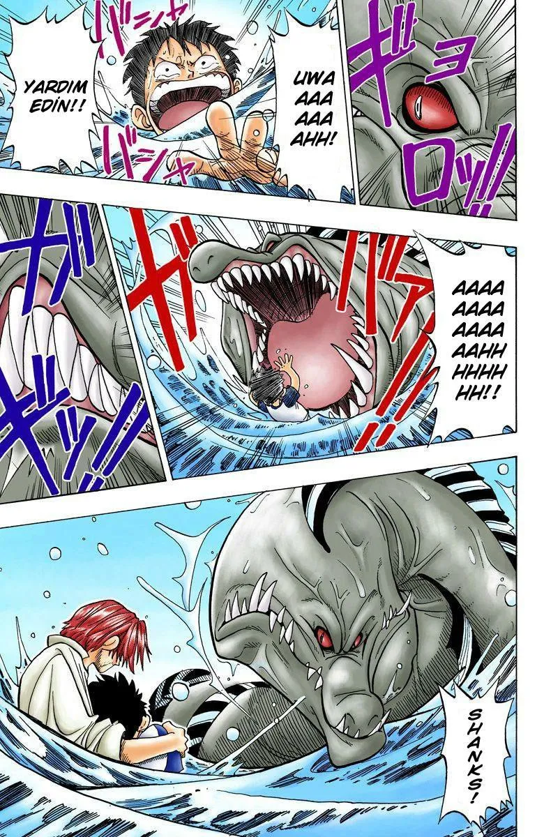 One Piece [Renkli] - Sayfa 41