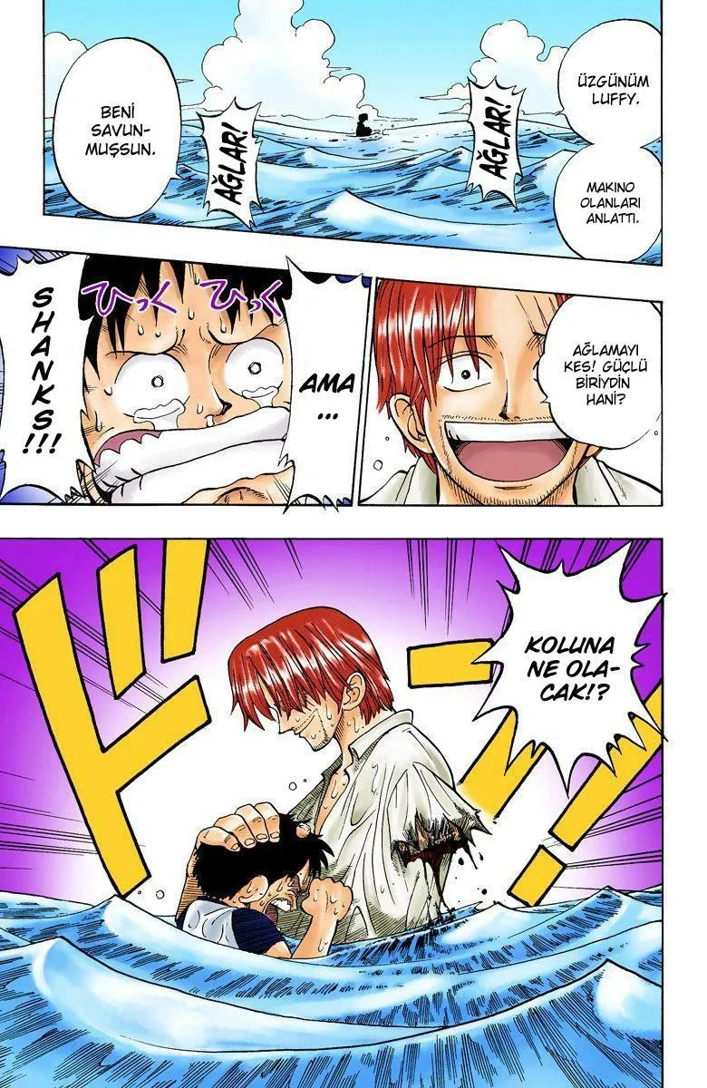 One Piece [Renkli] - Sayfa 43