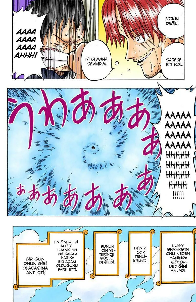 One Piece [Renkli] - Sayfa 44