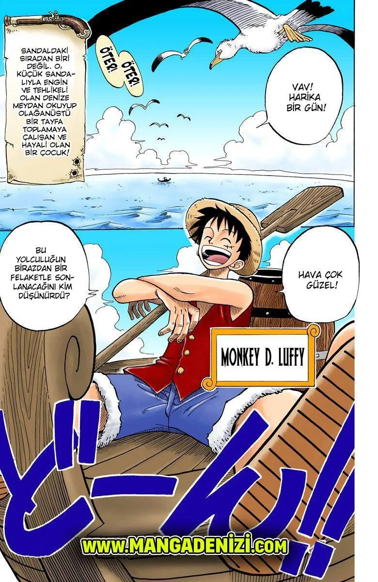 One Piece [Renkli] - Sayfa 2