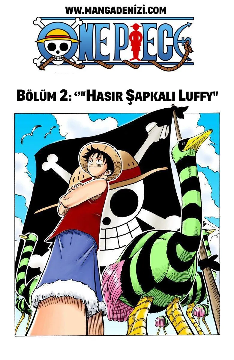 One Piece [Renkli] - Sayfa 4