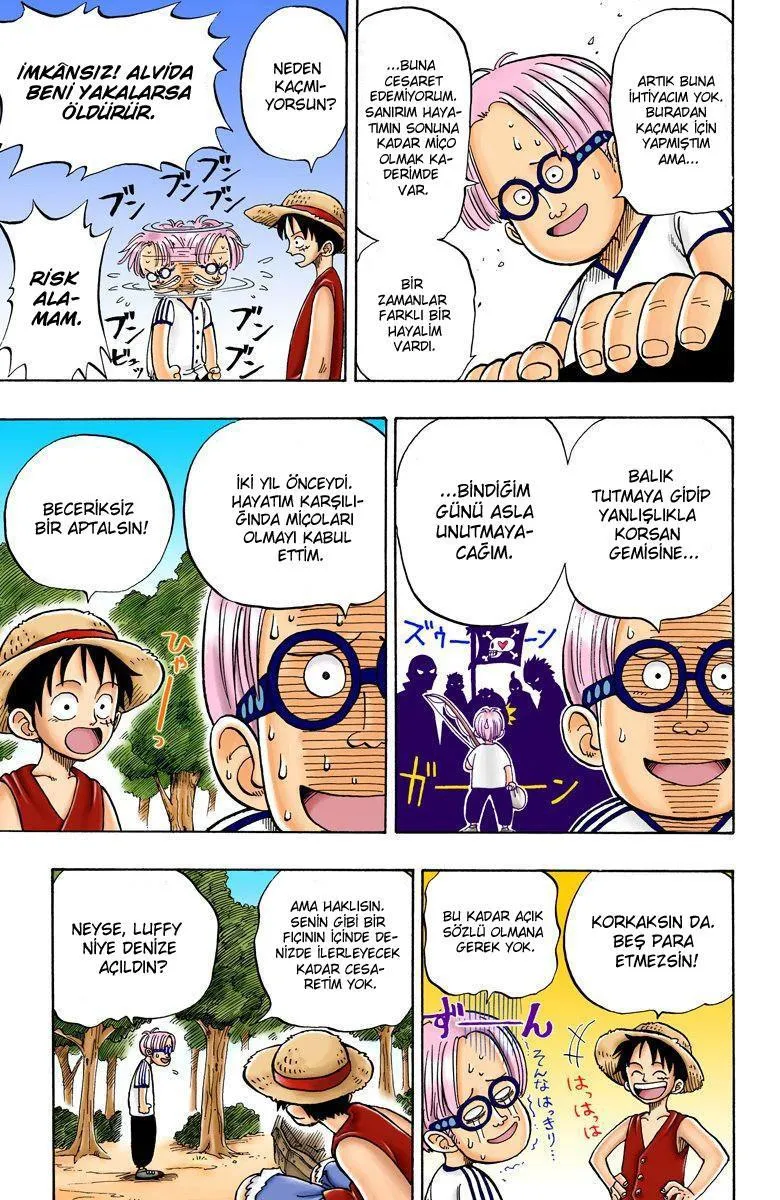 One Piece [Renkli] - Sayfa 14