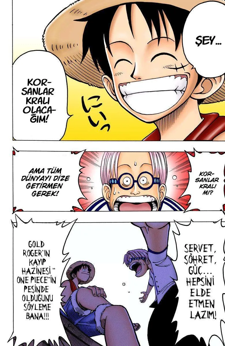 One Piece [Renkli] - Sayfa 15