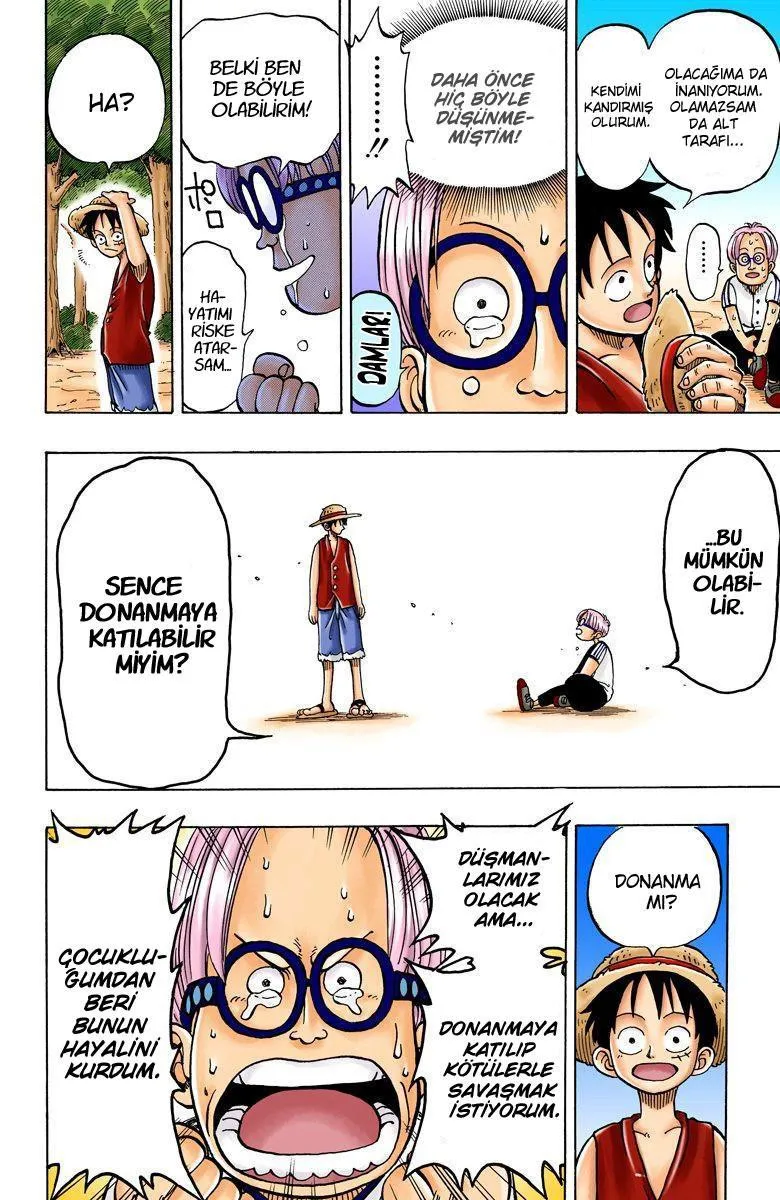 One Piece [Renkli] - Sayfa 17