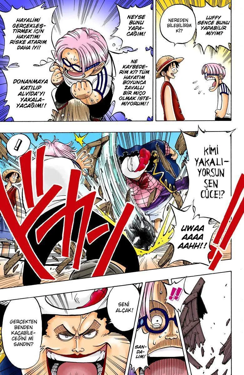 One Piece [Renkli] - Sayfa 18