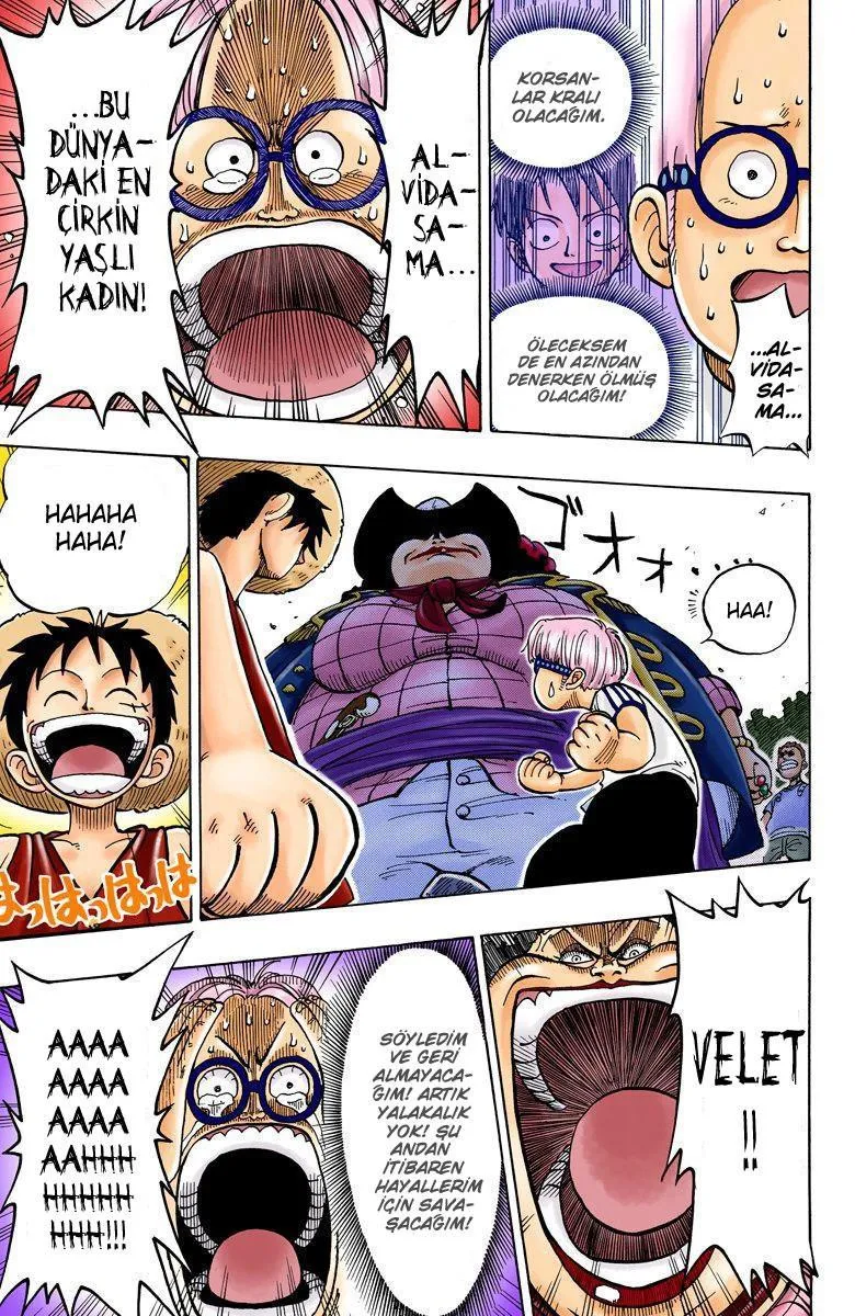 One Piece [Renkli] - Sayfa 20