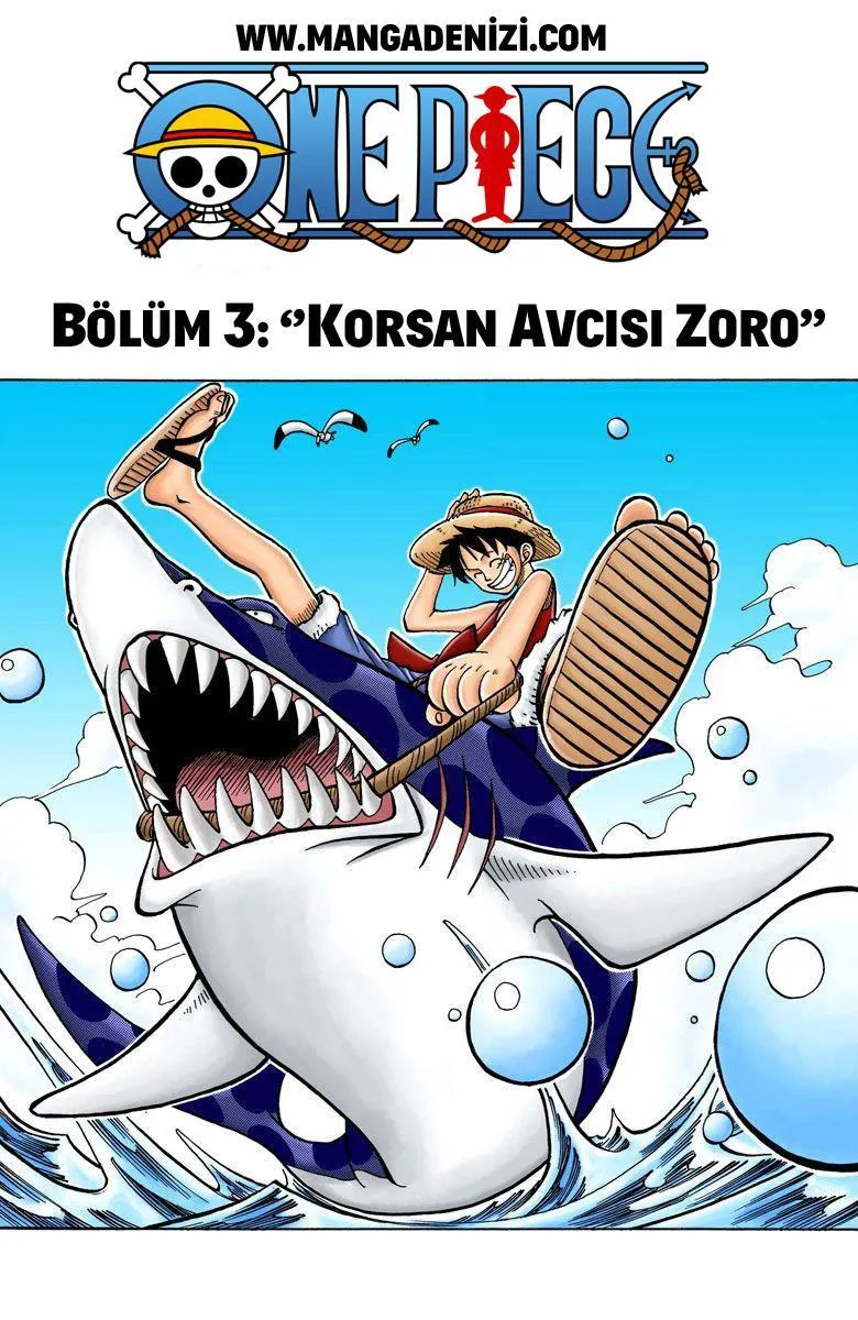 One Piece [Renkli] - Sayfa 3