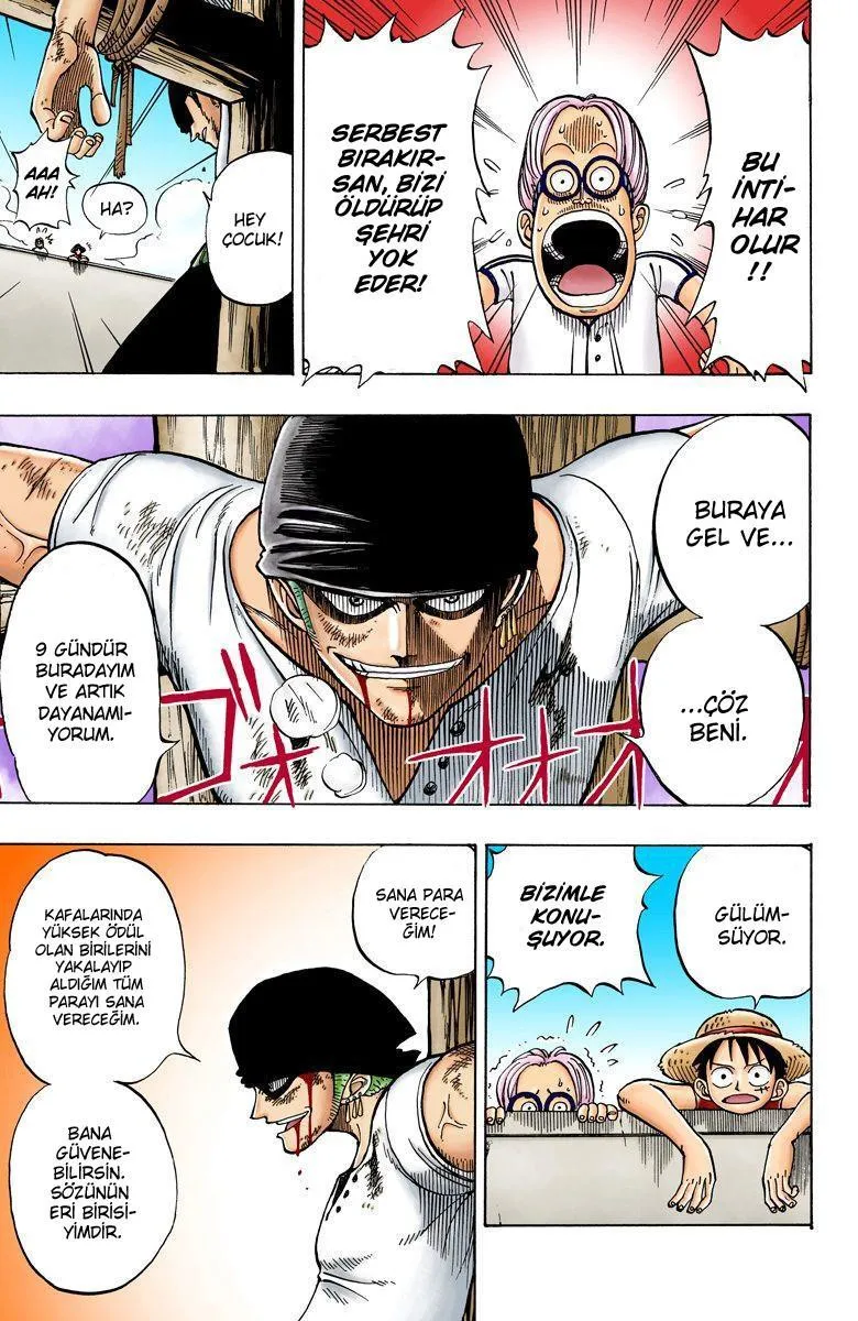 One Piece [Renkli] - Sayfa 10