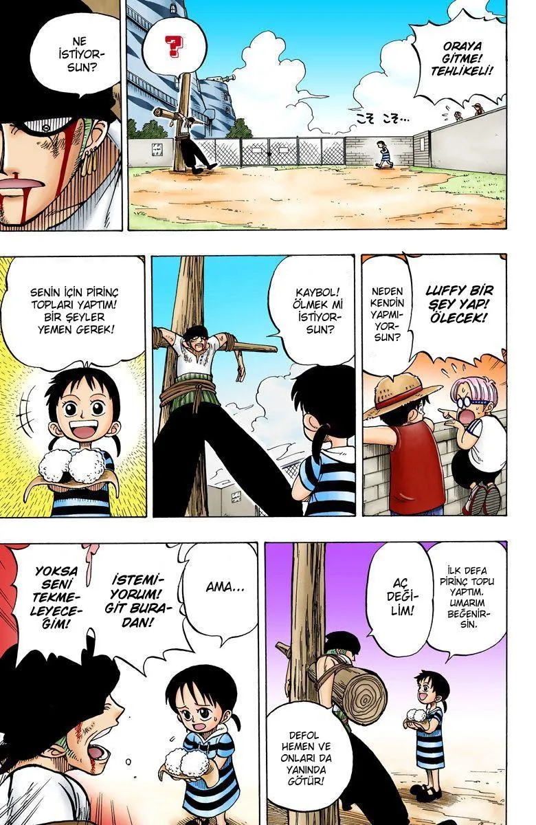 One Piece [Renkli] - Sayfa 12