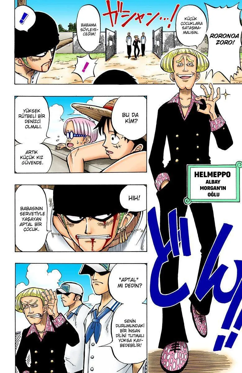 One Piece [Renkli] - Sayfa 13