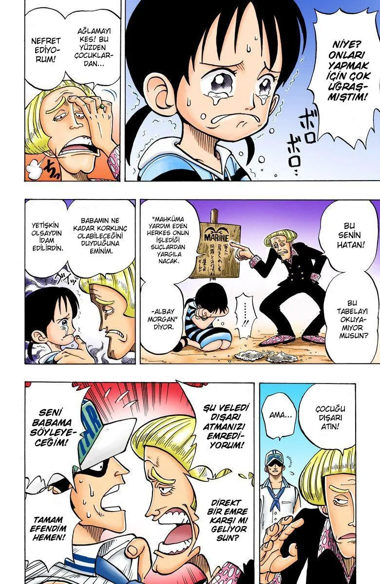 One Piece [Renkli] - Sayfa 15