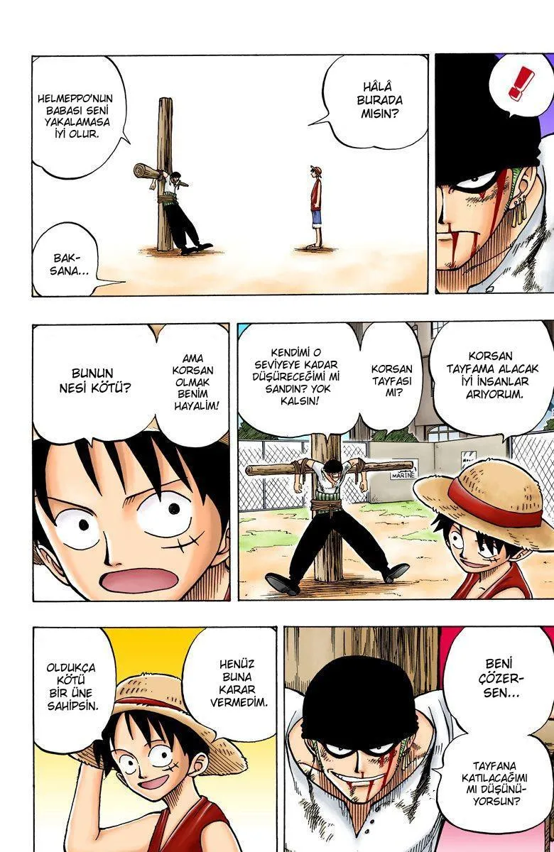 One Piece [Renkli] - Sayfa 17