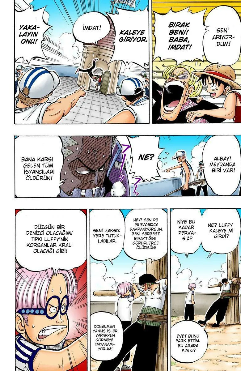 One Piece [Renkli] - Sayfa 19