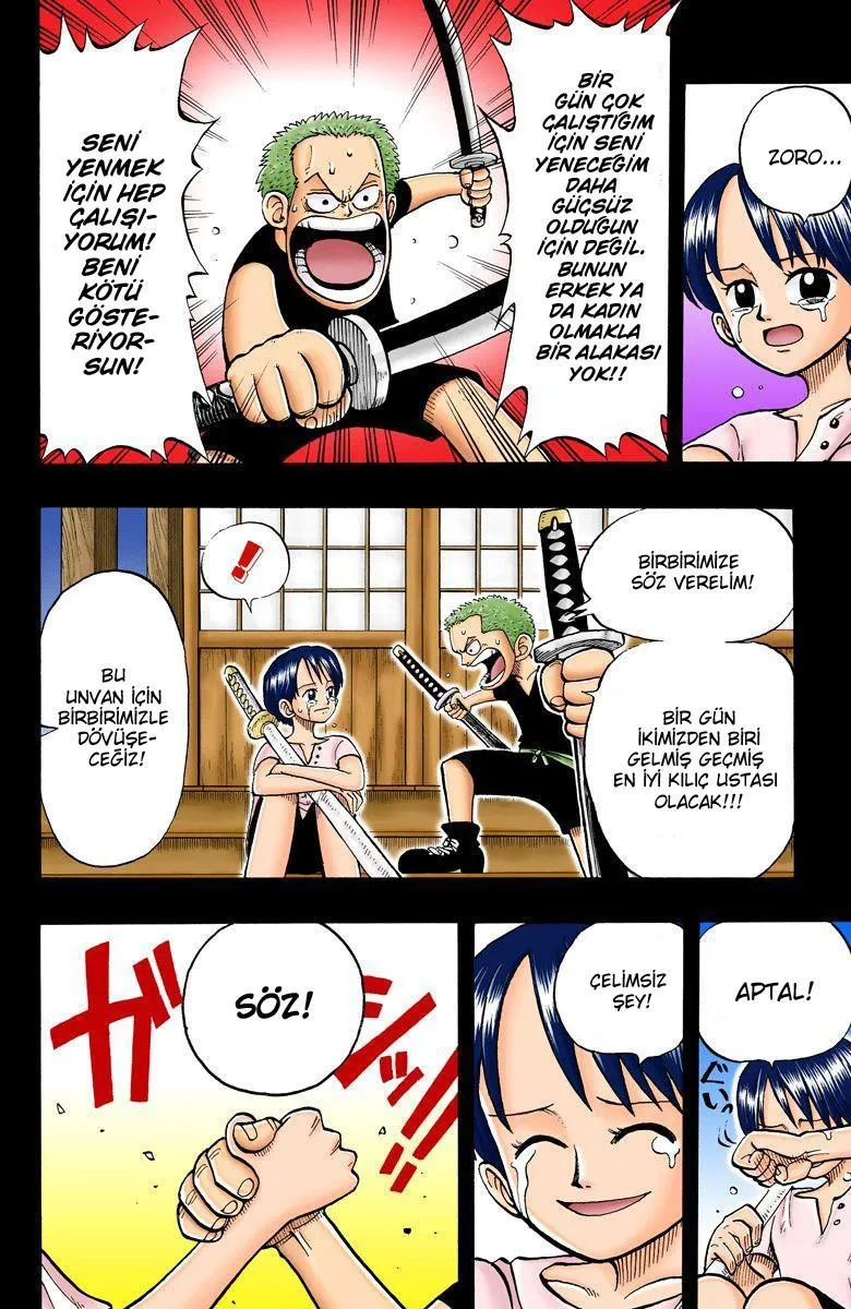 One Piece [Renkli] - Sayfa 15