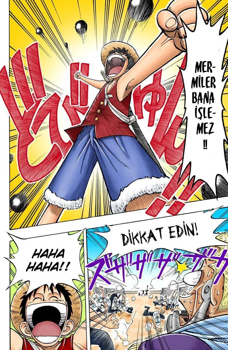 One Piece [Renkli] - Sayfa 19