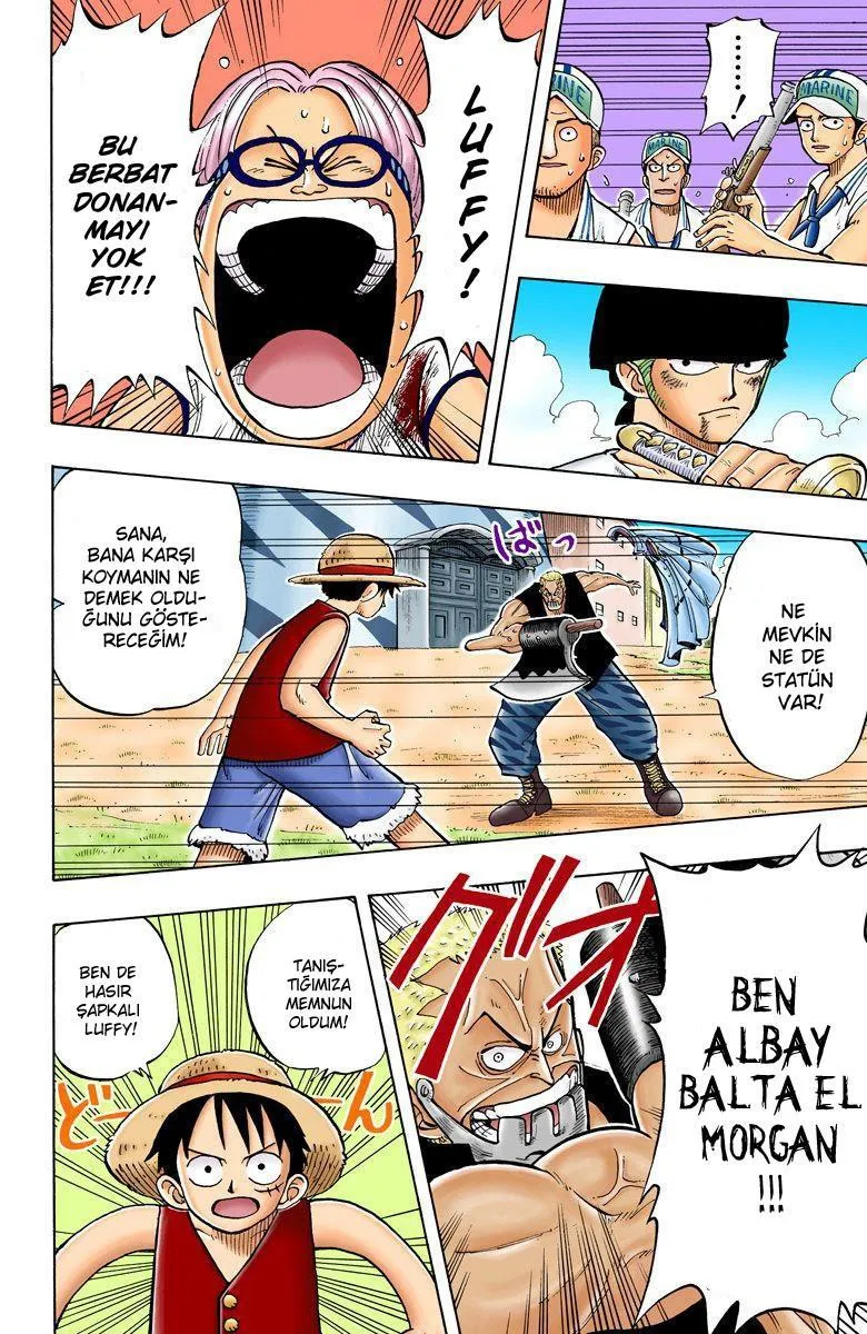 One Piece [Renkli] - Sayfa 14