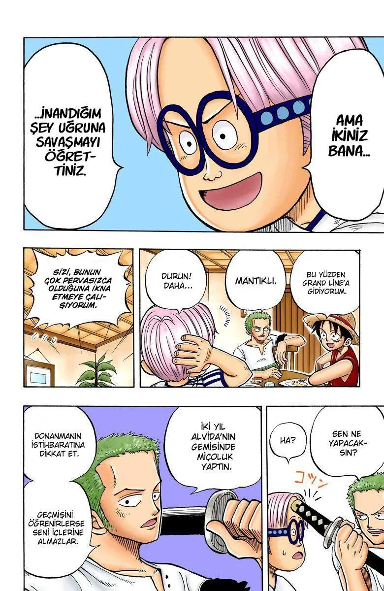 One Piece [Renkli] - Sayfa 8