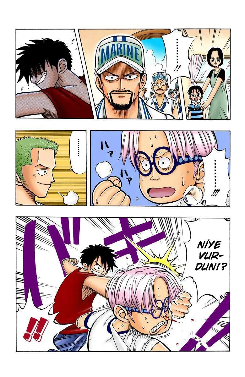 One Piece [Renkli] - Sayfa 14