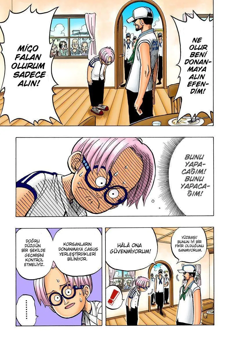 One Piece [Renkli] - Sayfa 17