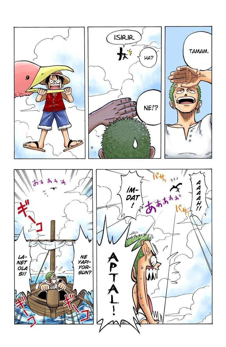 One Piece [Renkli] - Sayfa 6