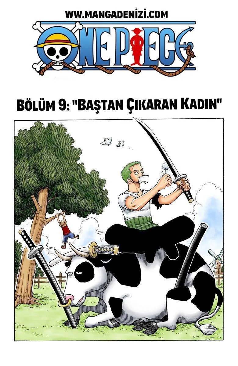 One Piece [Renkli] - Sayfa 2