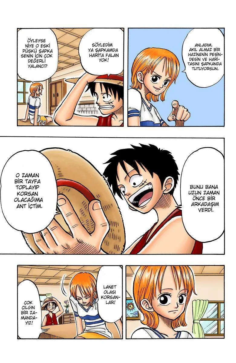 One Piece [Renkli] - Sayfa 14