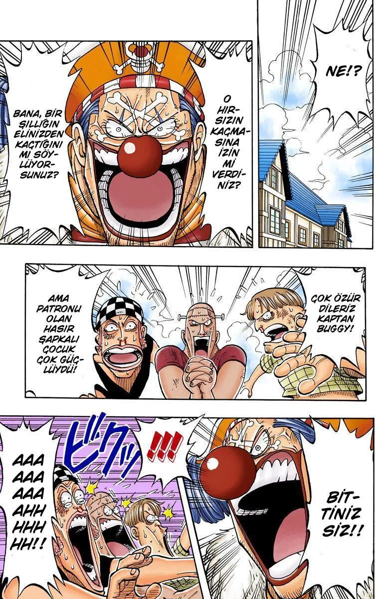 One Piece [Renkli] - Sayfa 18