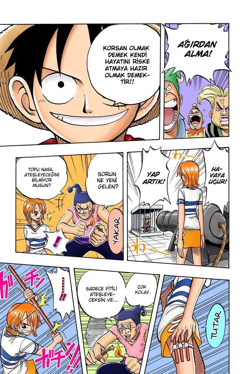 One Piece [Renkli] - Sayfa 14