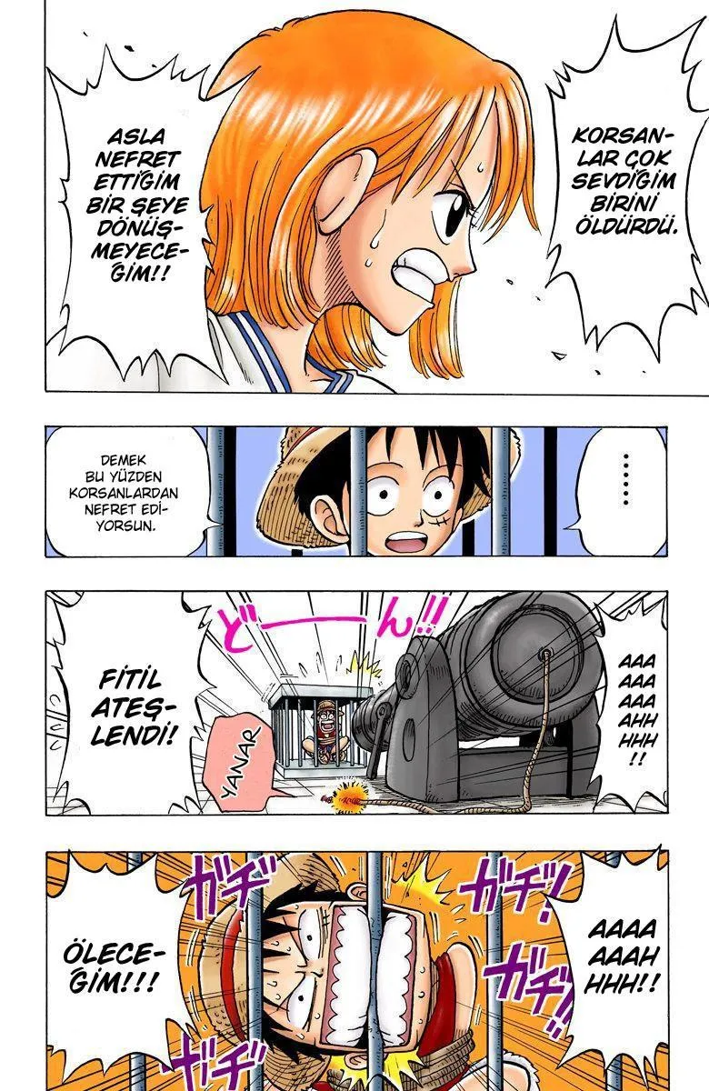 One Piece [Renkli] - Sayfa 17