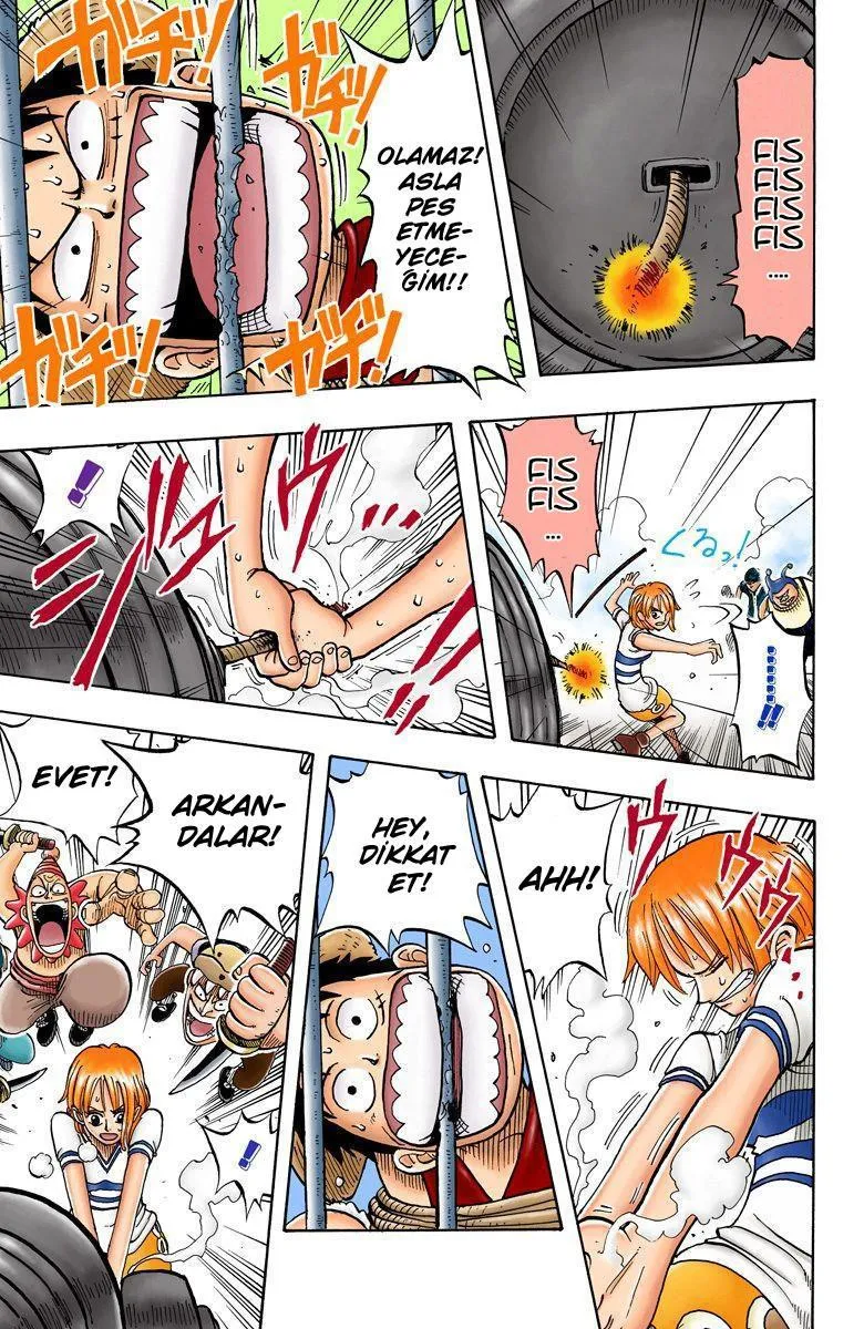 One Piece [Renkli] - Sayfa 20