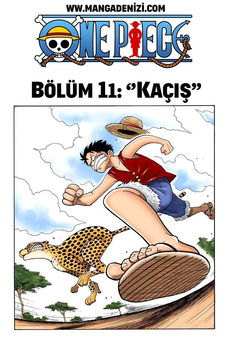 One Piece [Renkli] - Sayfa 2