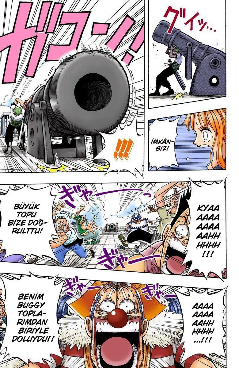 One Piece [Renkli] - Sayfa 14