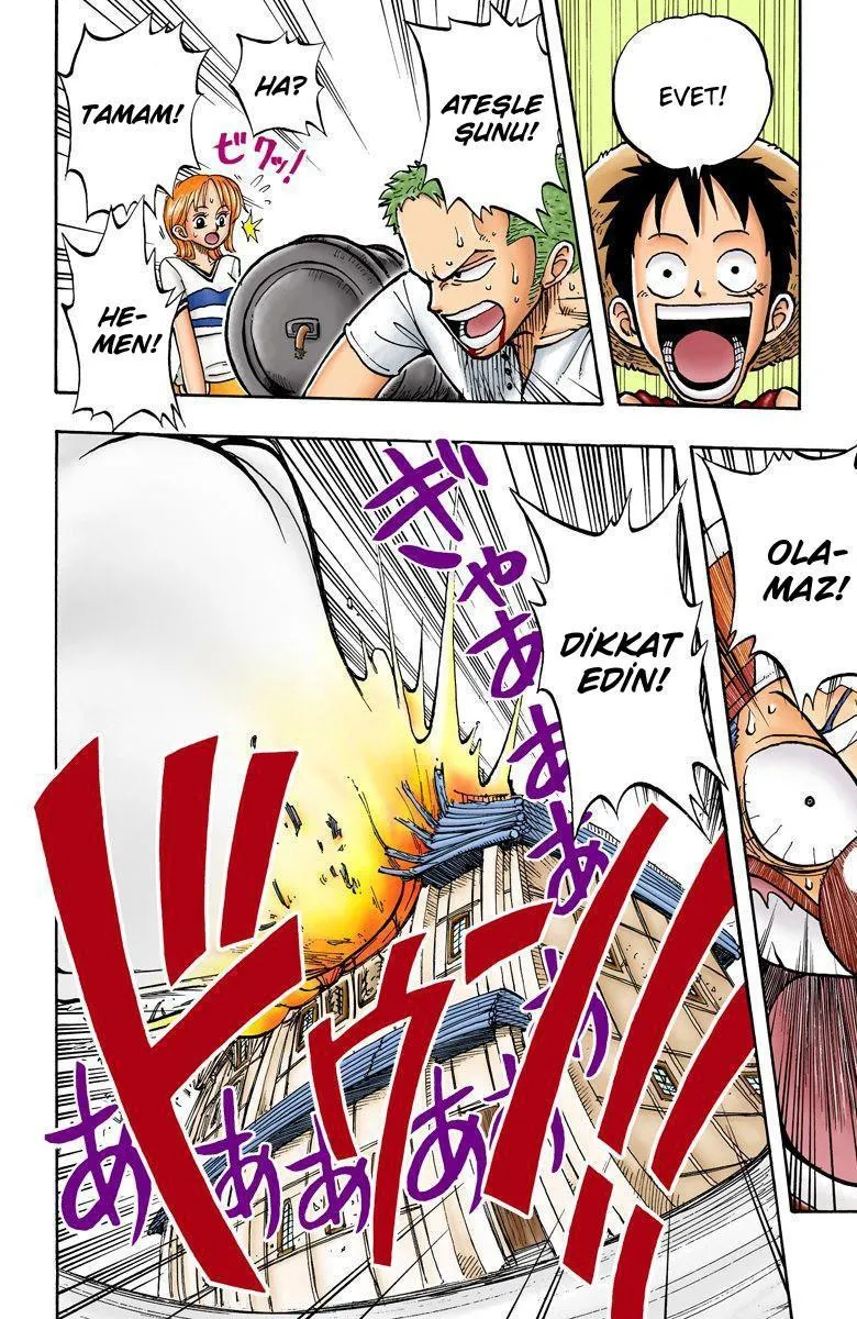 One Piece [Renkli] - Sayfa 15