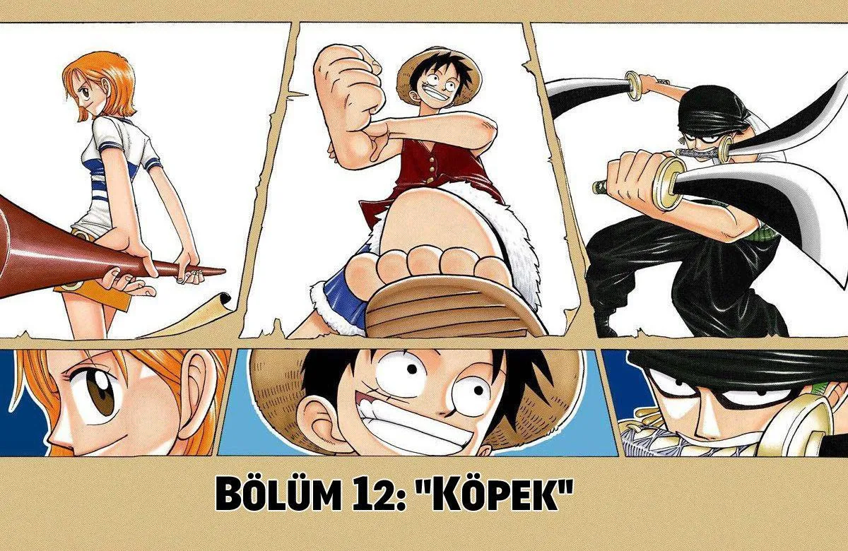 One Piece [Renkli] - Sayfa 2