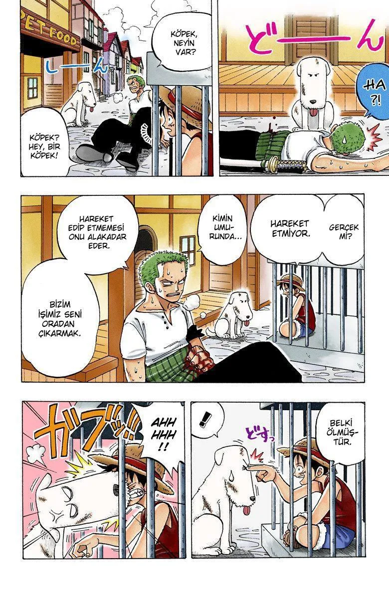 One Piece [Renkli] - Sayfa 6