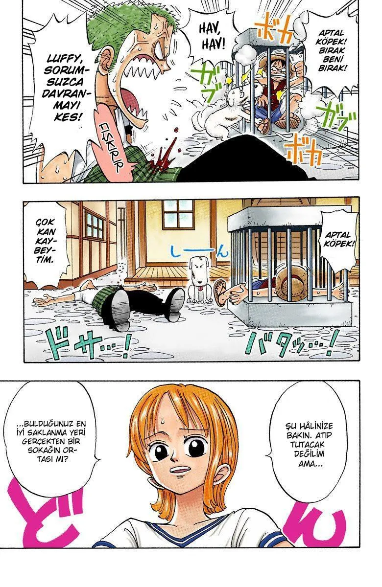 One Piece [Renkli] - Sayfa 7