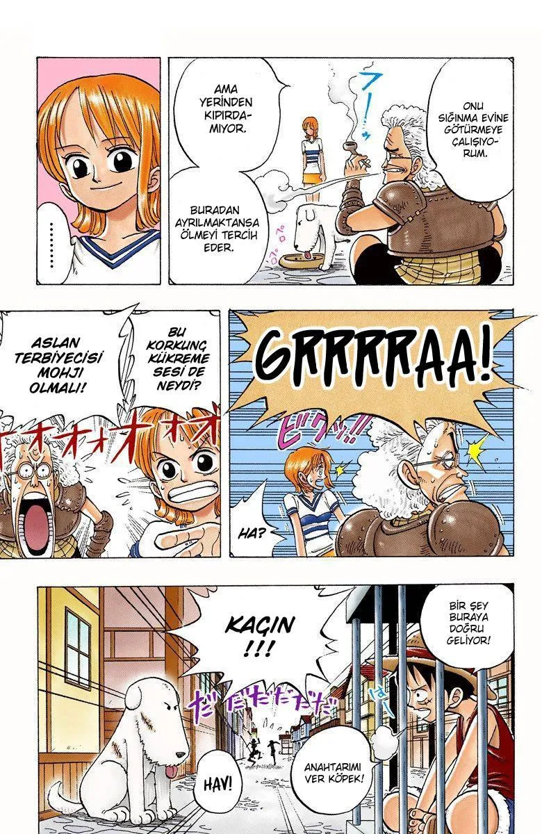 One Piece [Renkli] - Sayfa 15