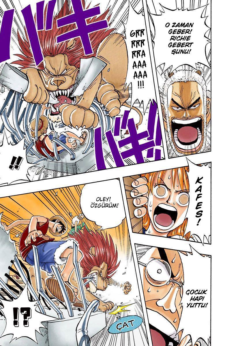 One Piece [Renkli] mangasının 0012 bölümünün 19. sayfasını okuyorsunuz.