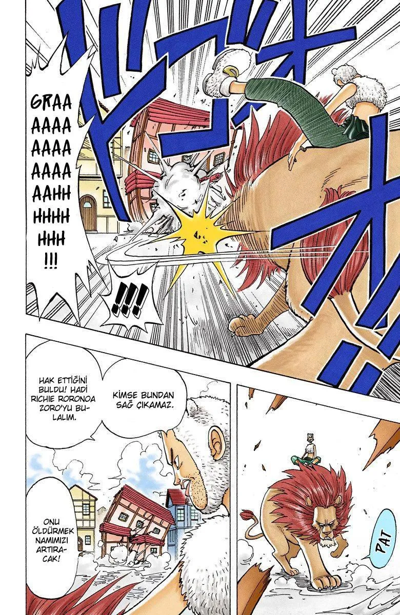 One Piece [Renkli] - Sayfa 20