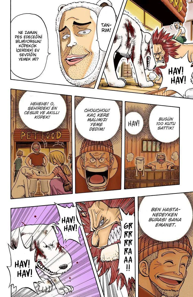 One Piece [Renkli] - Sayfa 7