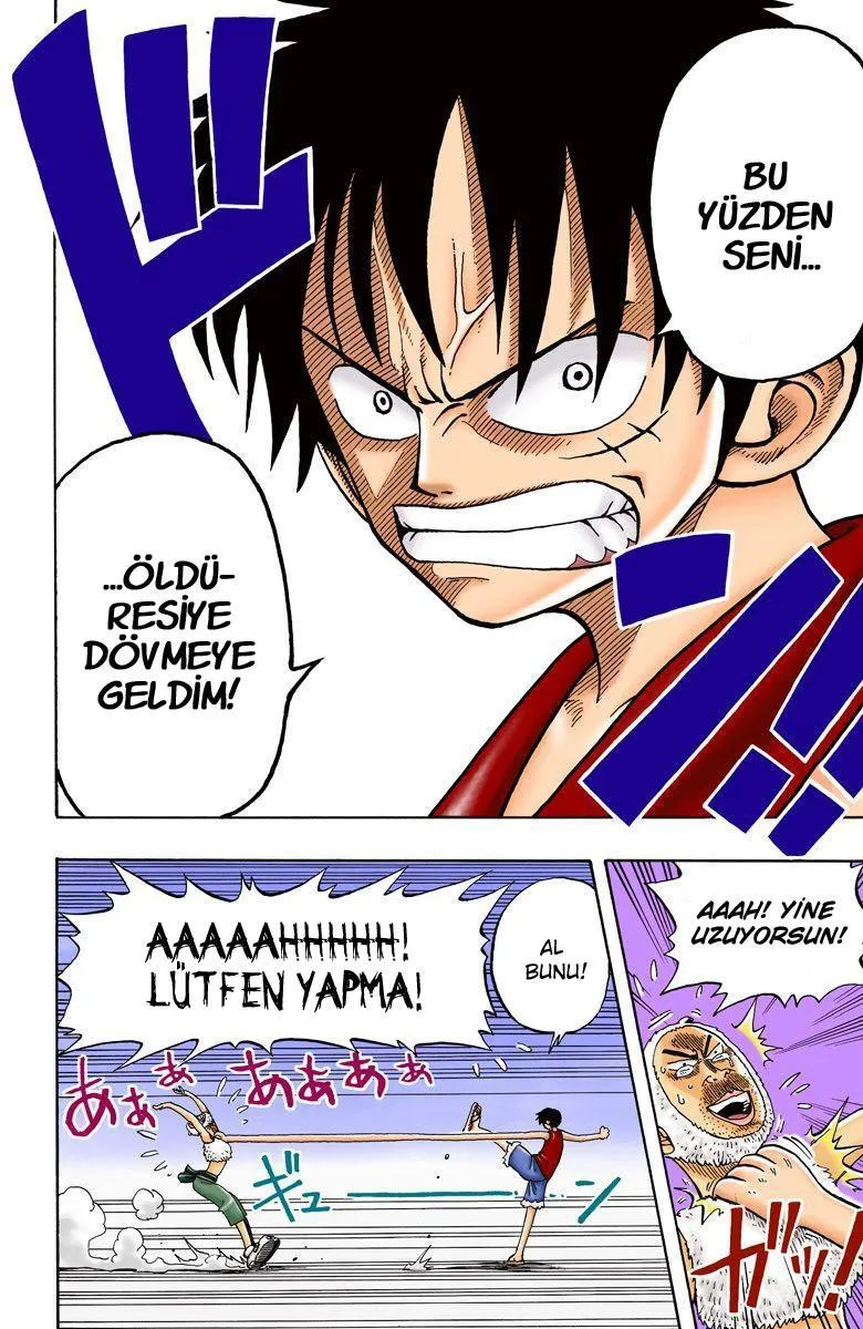 One Piece [Renkli] - Sayfa 15