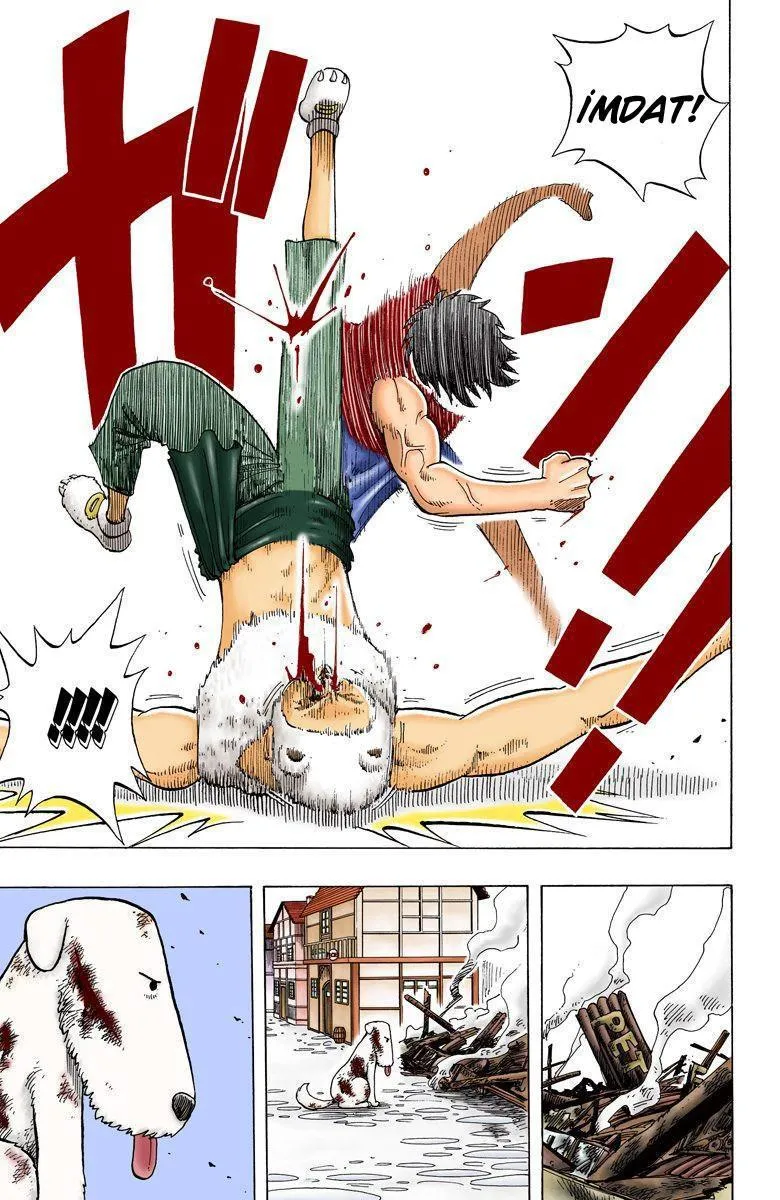 One Piece [Renkli] - Sayfa 16