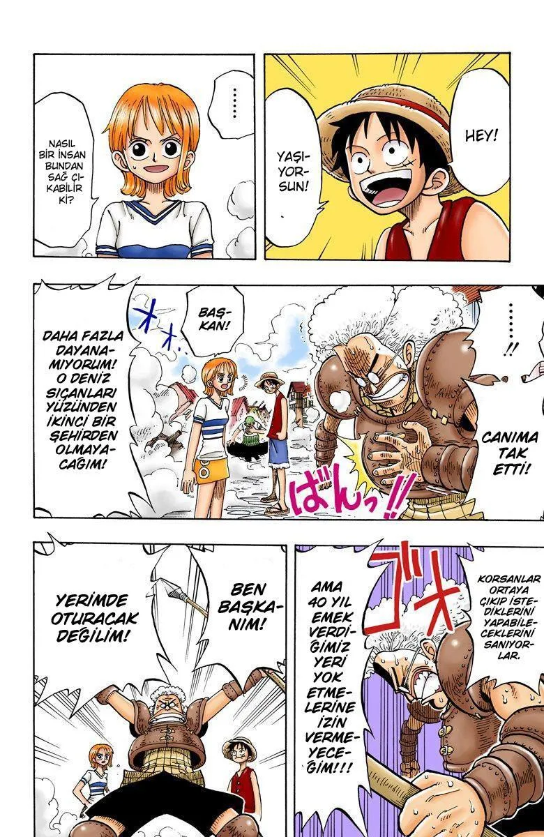 One Piece [Renkli] - Sayfa 14