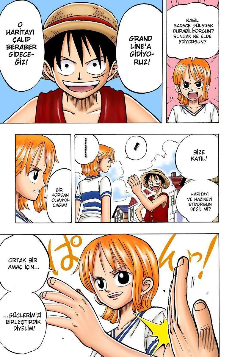 One Piece [Renkli] - Sayfa 17