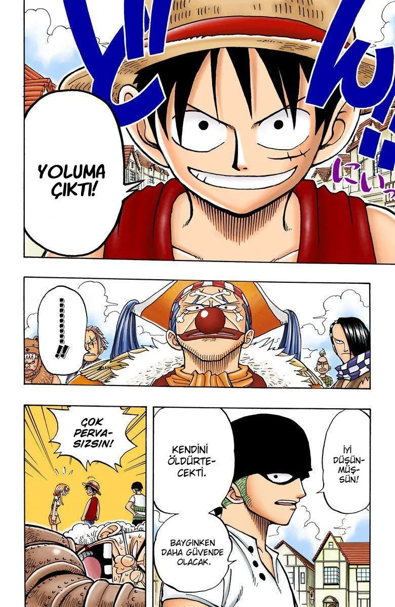 One Piece [Renkli] - Sayfa 15