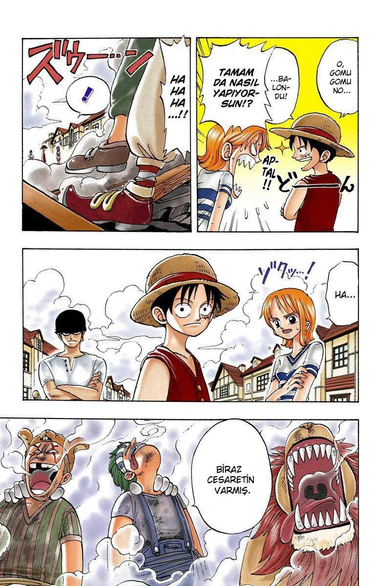 One Piece [Renkli] - Sayfa 4