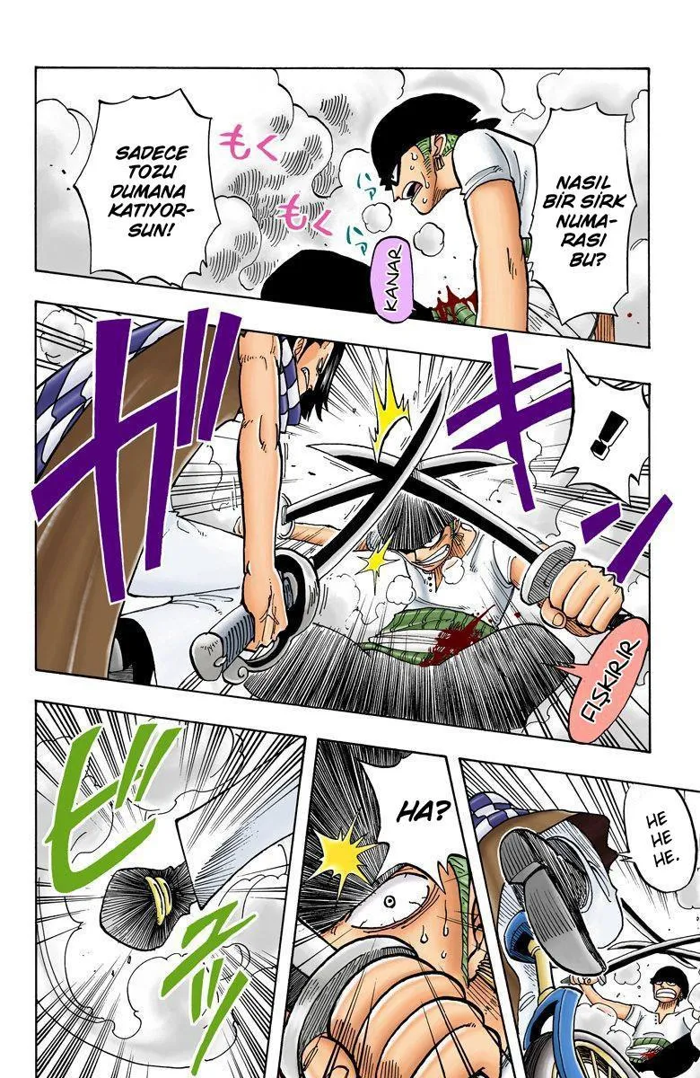 One Piece [Renkli] - Sayfa 13