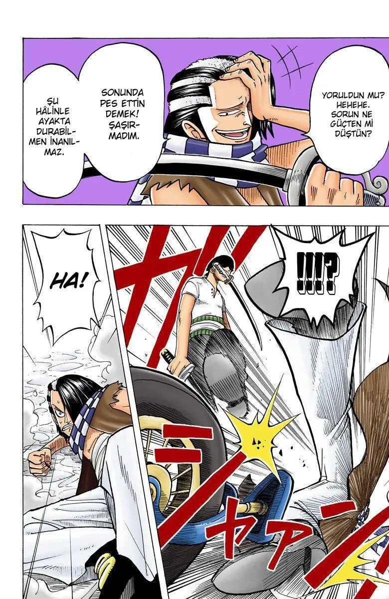 One Piece [Renkli] - Sayfa 14