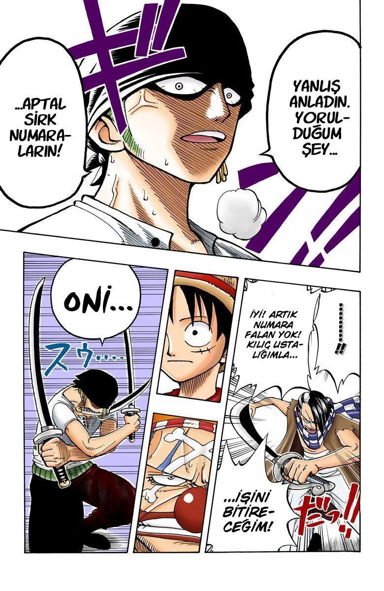 One Piece [Renkli] - Sayfa 15